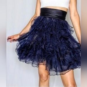 Zac Posen for Target 🎯 Cocktail Skirt